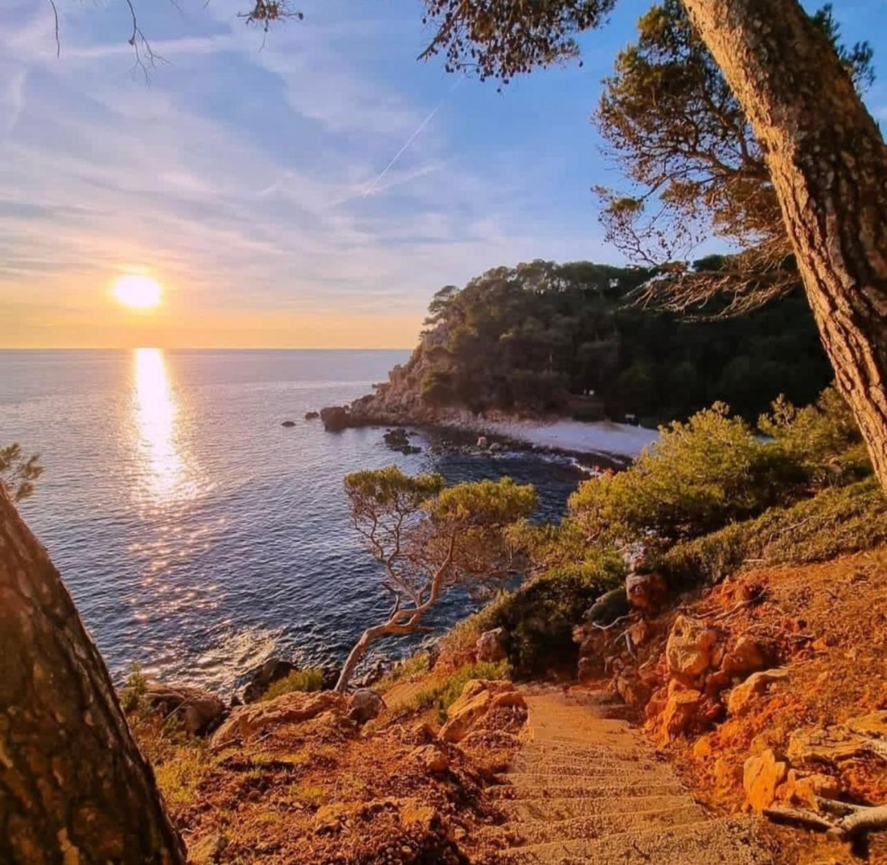 Logement Vue Mer Splendide - Situe A 50 Metres Du Bord De Mer Et 2 Minutes Des Plages - Bandolina Exterior foto